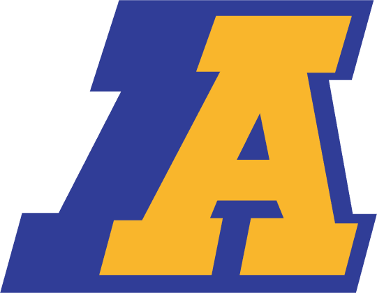 Akron Zips 1986-2001 Primary Logo iron on transfers for clothing